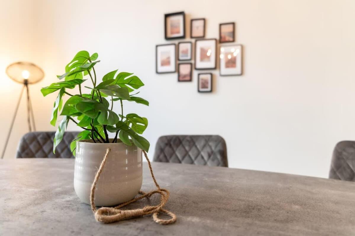 Beautiful Renovated Apartment In An Authentic Building Oostende Eksteriør bilde